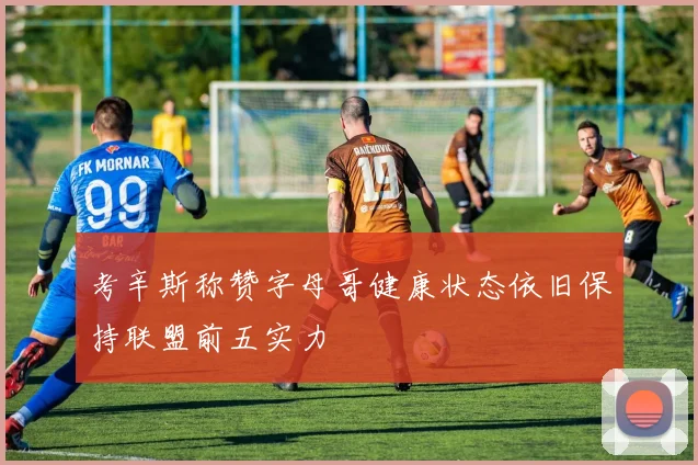 考辛斯称赞字母哥健康状态依旧保持联盟前五实力